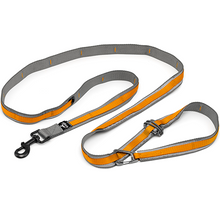 Load image into Gallery viewer, Kurgo Dog Quantum Leash