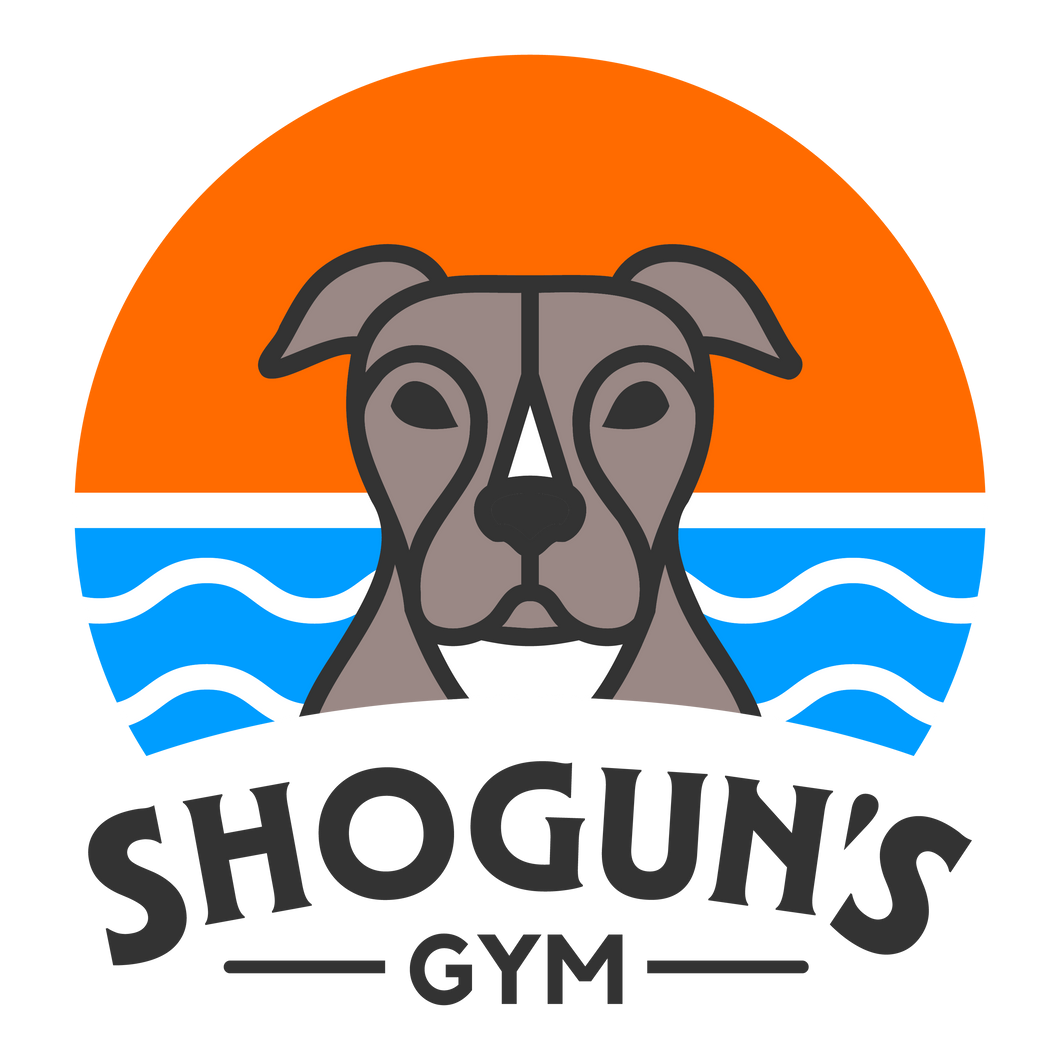 Shogun's Gym 2024 Membership