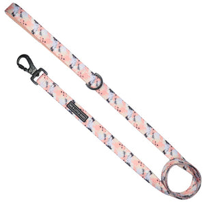 Big and Little Dogs - Dog Leash