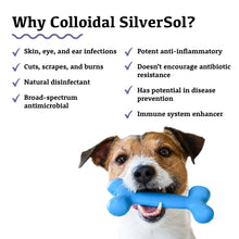Load image into Gallery viewer, Adored Beast Colloidal Silversol 50ml